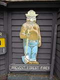 Image for Erving State Forest Smokey Bear - Erving, MA