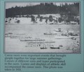 Image for Penn Cove Water Festival Canoe Races - Whidbey Island, WA