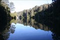 Image for Lake Elizabeth, Otway Ranges, Victoria, Australia