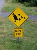 Image for Duck Crossing, Lewisville, NC