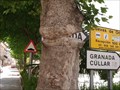 Image for "Granada" sign omnivorous tree - Orce, Spain