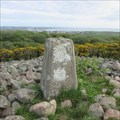 Image for O.S. Triangulation Pillar - Baron's Cairn, Aberdeen.