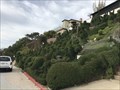Image for Harpers Topiary - San Diego, CA