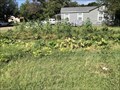 Image for Open Door Community Garden - Abilene, TX
