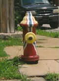 Image for Flag Hydrant - Benton Park North Neighborhood, St. Louis, MO