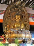 Image for Buddha - Kyoto, Japan