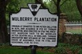 Image for 8-4 Mulberry Plantation