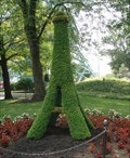 Image for Eiffel Tower Topiary  -  Kings Island, OH