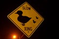 Image for Slow Duck Family Crossing