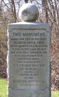 Image for Baldwin Apple Monument