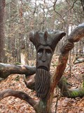 Image for The wood thief in the Palatinate Forest - RLP / Germany