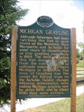 Image for Michigan Grayling