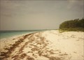 Image for Loggerhead Beaches - Loggerhead Key - Dry Tortugas, FL