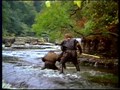 Image for Upper Aysgarth Falls, Aysgarth, N Yorkshire, UK – Robin Hood Prince of Thieves (1991)
