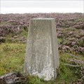 Image for O.S. Triangulation Pillar - Goyle Hill, Aberdeenshire.