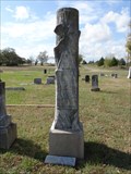 Image for William M. Speed - Sunny Point Cemetery - Cumby, TX