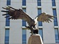 Image for Korean War Memorial Eagle - Austin, TX