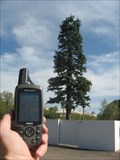 Image for Pine Tree Tower - Tempe, AZ