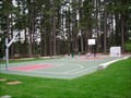 Image for Pine Lake Park Court