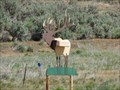 Image for Elk on '89