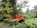 Image for Irish National Stud's Japanese Gardens