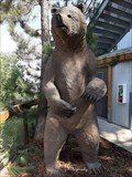 Image for Grizzly Bear Statue - Cheyenne Mountain Zoo - Colorado Springs, CO
