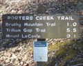 Image for Porter Creek Trail - Great Smoky Mtns Natl Park - Greenbrier, TN