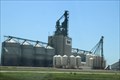 Image for SWT Grain Elevator -- Gull Lake SK CAN
