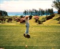 Image for Golfing in Bermuda