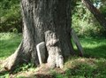 Image for Tree embraces gravestone - Dry Creek Cemetery, Moravia, NY