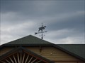 Image for Moose Weathervane - High Peaks Welcome Ctr, North Hudson, NY