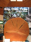 Image for Big Oak Tree State Park Bur Oak - East Prairie, Missouri