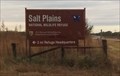 Image for Salt Plains National Wildlife Refuge - Jet, OK, USA