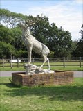 Image for The Stag - Sammy Miller Museum, Bashley Cross Roads, New Milton, Hampshire, UK
