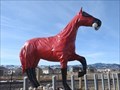 Image for Horse in a Hazmat Suit - Arvada, CO