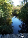 Image for Matthaei Botanical Garden Trails footpaths - Ann Arbor, MI