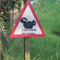 Image for Caution Red Squirrel - Monikie, Angus.