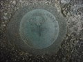 Image for Geodetic Survey of Canada No. 89C557 - Victoria, BC