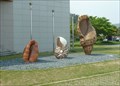 Image for Shells at Marine Ecology Center (&#51652;&#46020;&#54644;&#50577;&#49373;&#53468;&#44288;)  - Jindo, Korea