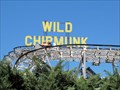 Image for Wild Chipmunk - Lakeside, CO