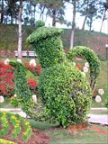 Image for Teapot Topiary - Dalat, Vietnam