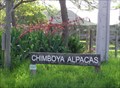 Image for Chimboya  Alpacas - Taihape. North Is. New Zealand.