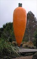 Image for Big Carrot - Just Around The Corner - Ohakune. New Zealand.