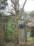Image for Side Yard Bottle Tree - Alford, FL