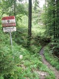 Image for Tyrol/Austria - Bavaria/Germany, on a hikingtrail close to the river Tiroler Achen