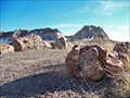 Image for Long Logs & Agate House Trails, Petrified Forest NP