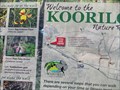 Image for You Are Here - Koorilgur Nature Reserve Walk, Warialda, NSW