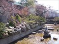 Image for Anna Scripps Conservatory Japanese Garden - Belle Isle - Detroit, Michigan
