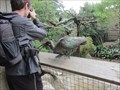 Image for African Aviary - San Francisco, CA