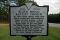 Image for 45-6 Black Mingo Baptist Church